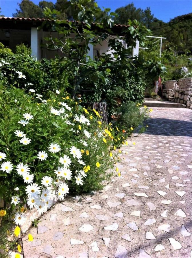 Studio Dolores-Apartment By The Sea Maranovići 외부 사진